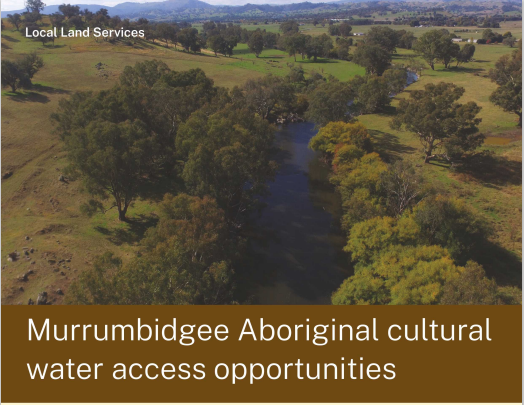 Murrumbidgee Aboriginal Cultural Water Access Opportunities Catchup ...