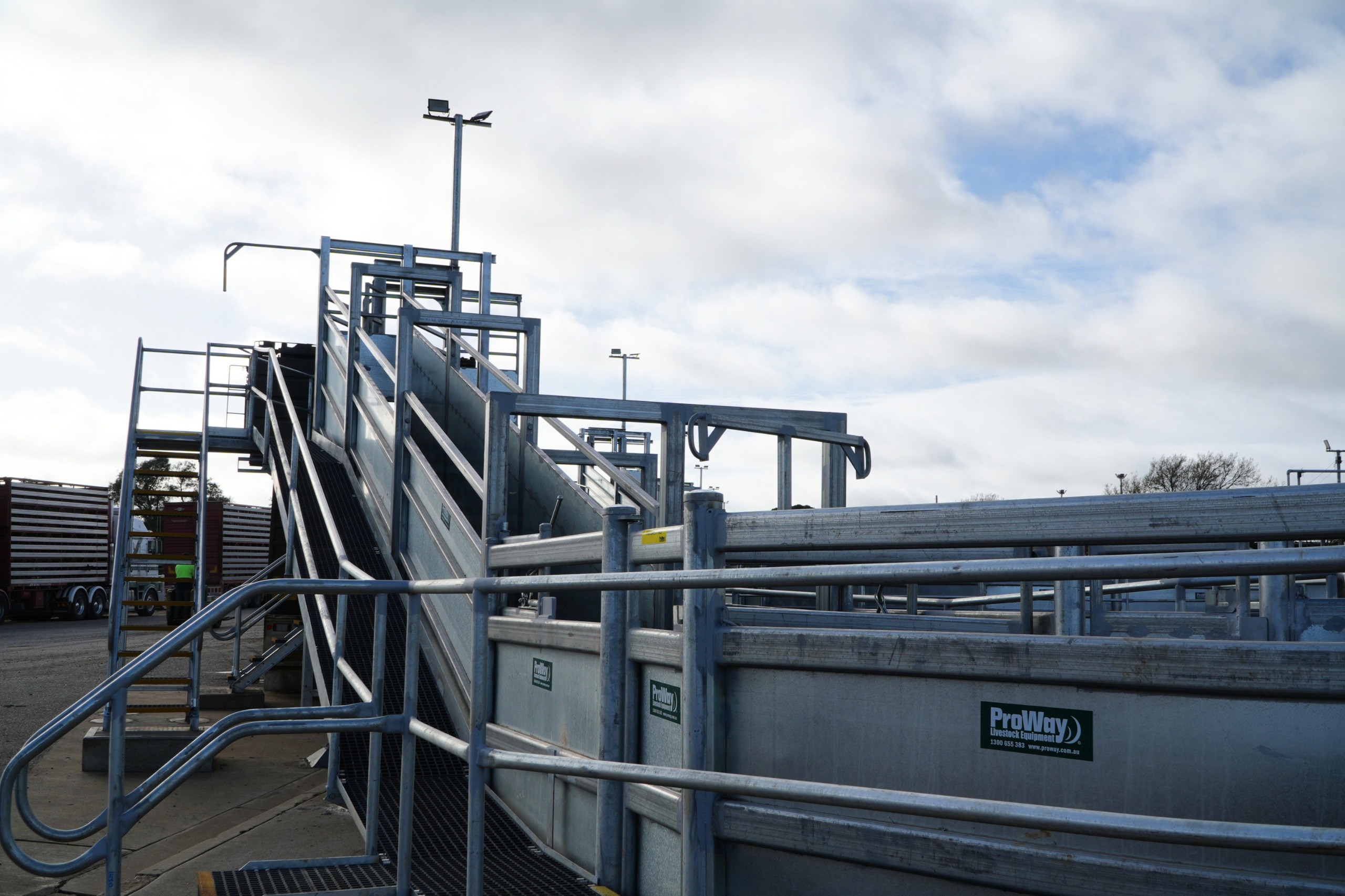 A photo of newly installed steel loading ramps, built for cattle, located in the context of a Livestock Marketing space.