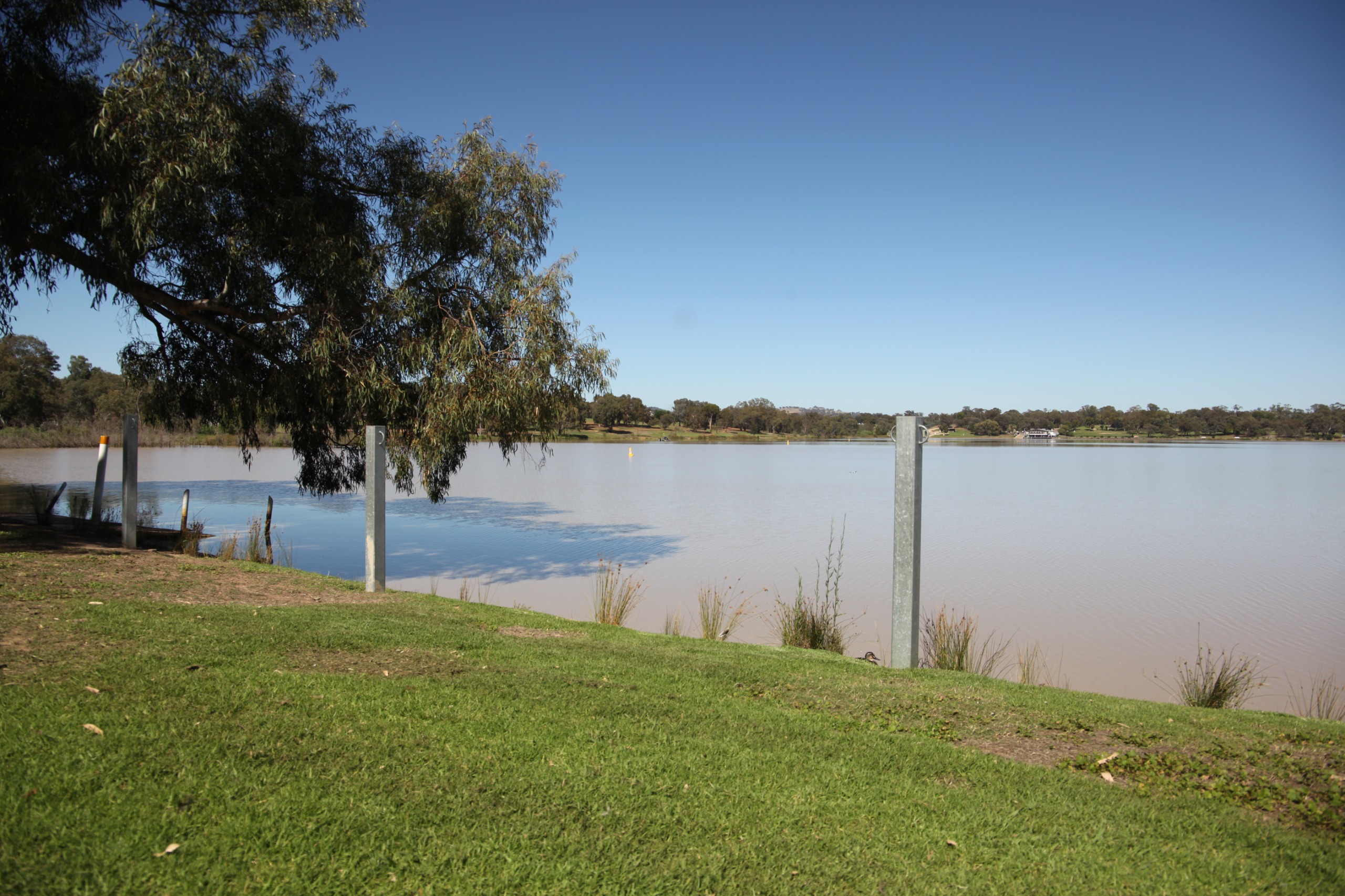 A view of a lake that includes green grass in the foreground, and a leafy green tree on the left, close to the water. In the background overhead is blue sky.