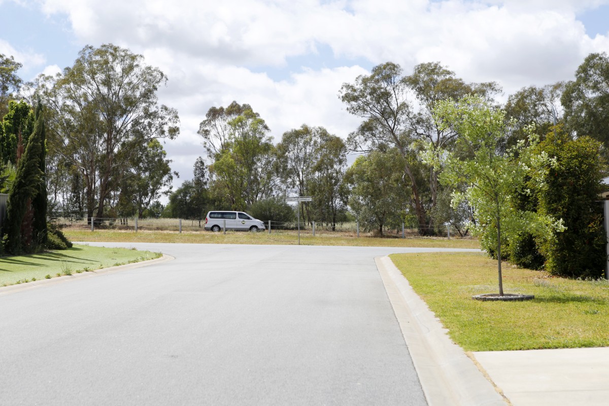 A white van driving along a road in the background, with a suburban street and nature strips in the foreground.