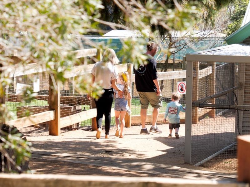 Family walking along pathway through Zoo.