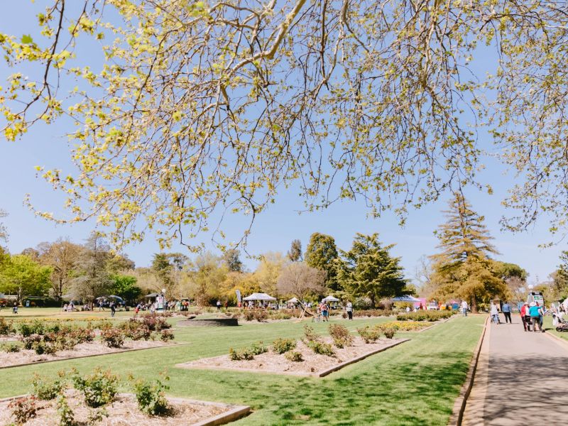 Trees, lawn and flowering plants in a public gardens