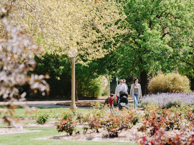 Farmily walking through gardens, with flowering plants in foreground