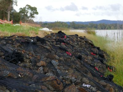 Rocks under netting on the embankment of a lake.
