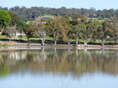 : Embankment stabilisation works have been carried out to address erosion and collapsing foreshore issues around Lake Albert.