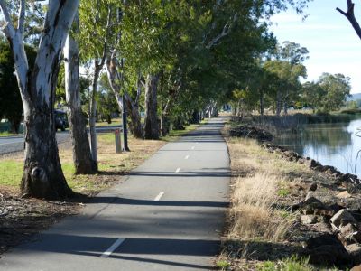 Asphalt shared path line with trees on the left-hand side and the foreshore of a lake on the right-hand side.